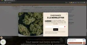 Origine